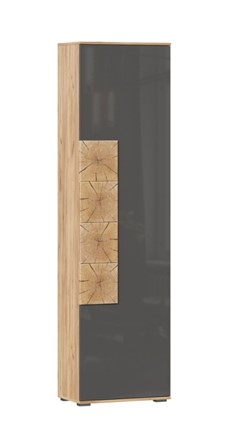 Шкаф одностворчатый Фиджи с декоративными накладками 659.300, Дуб Золотой/Антрацит в Тамбове - изображение