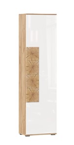 Шкаф одностворчатый Фиджи с декоративными накладками 659.300, Дуб Золотой/Белый в Тамбове