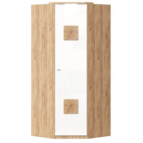 Шкаф угловой 45 с декоративной накладкой Фиджи, 659.248, белый в Тамбове - предосмотр