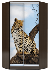 Шкаф 2200х1103, ХИТ У-22-4-77-04, Леопард, венге аруба в Тамбове