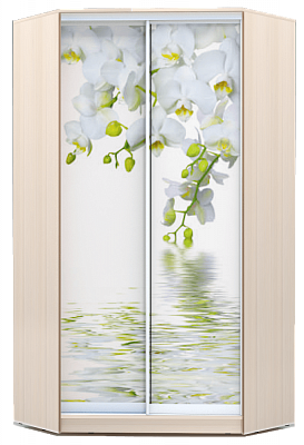 Шкаф 2300х1103, ХИТ У-23-4-77-05, Белая орхидея, дуб млечный в Тамбове - изображение
