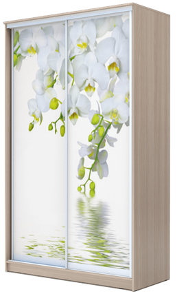 Шкаф 2-х дверный 2400х1682х620, Белая Орхидея ХИТ 24-17-77-05 Ясень Шимо Светлый в Тамбове - изображение