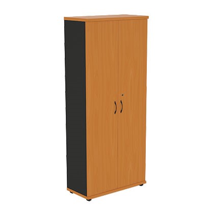 Шкаф для одежды Моно-Люкс R5S05 в Тамбове - изображение