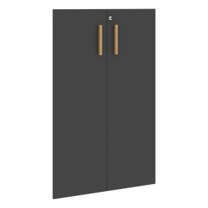 Двери для шкафов средние с замком FORTA Черный Графит FMD 40-2(Z) (794х18х1164) в Тамбове